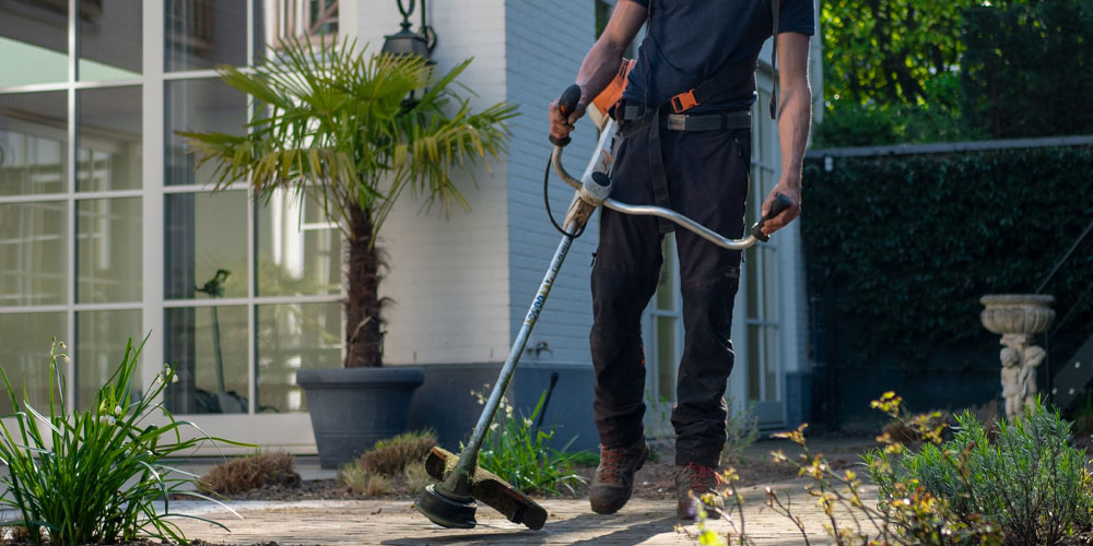 STIHL FSE 52 Electric Grass Trimmer | Torne Valley