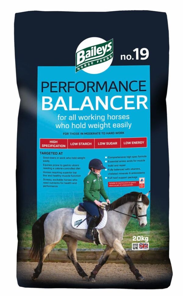 Baileys No.19 Performance Balancer 20KG | Torne Valley