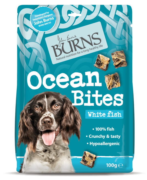 Burns Ocean Bites 100G | Torne Valley