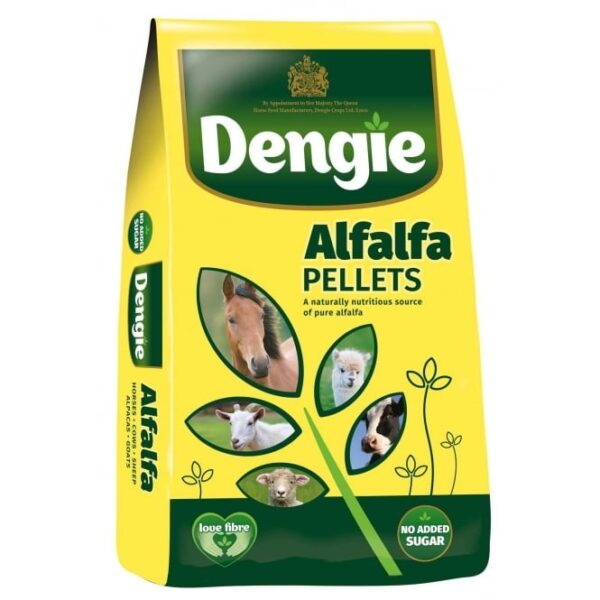 Dengie Alfalfa Pellets 20KG | Torne Valley