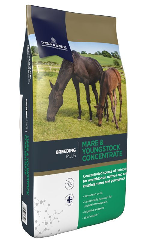 Dodson & Horrell Mare & Youngstock Concentrate 20KG | Torne Valley