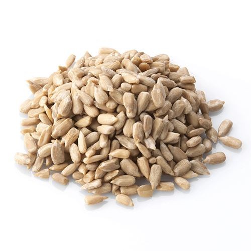 Ryton All Seasons Sunflower Hearts 20KG | Torne Valley