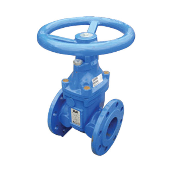 Rilsan Coated Wheel Valves 125mm | Torne Valley