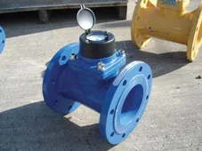 Paddle Wheel Water Meter 50mm