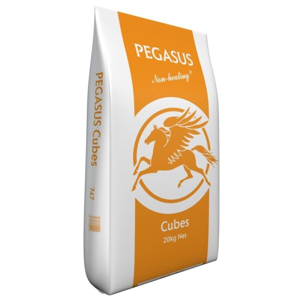 Pegasus Horse & Pony Cubes 20KG
