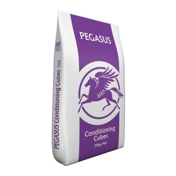 Pegasus Conditioning Cubes 20KG | Torne Valley