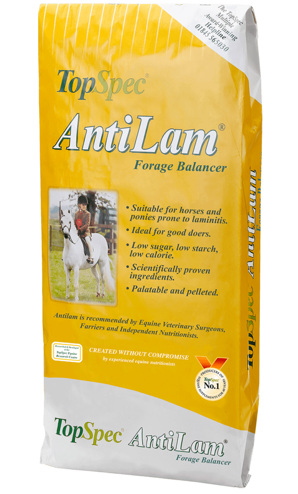 TopSpec AntiLam