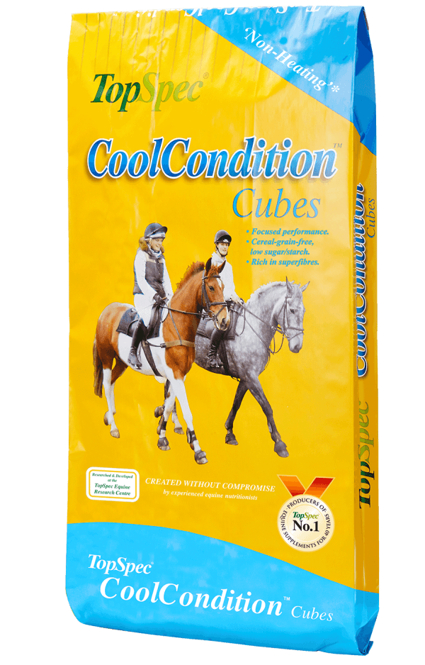 TopSpec CoolCondition Cubes