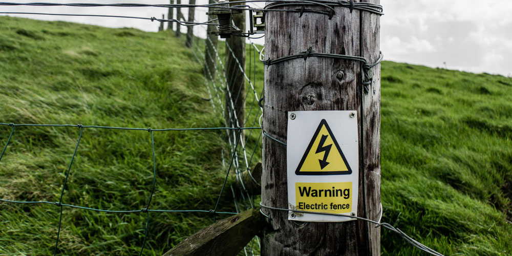 Electric Fence