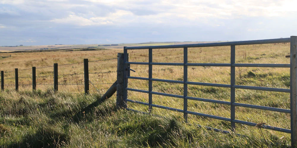 Gate
