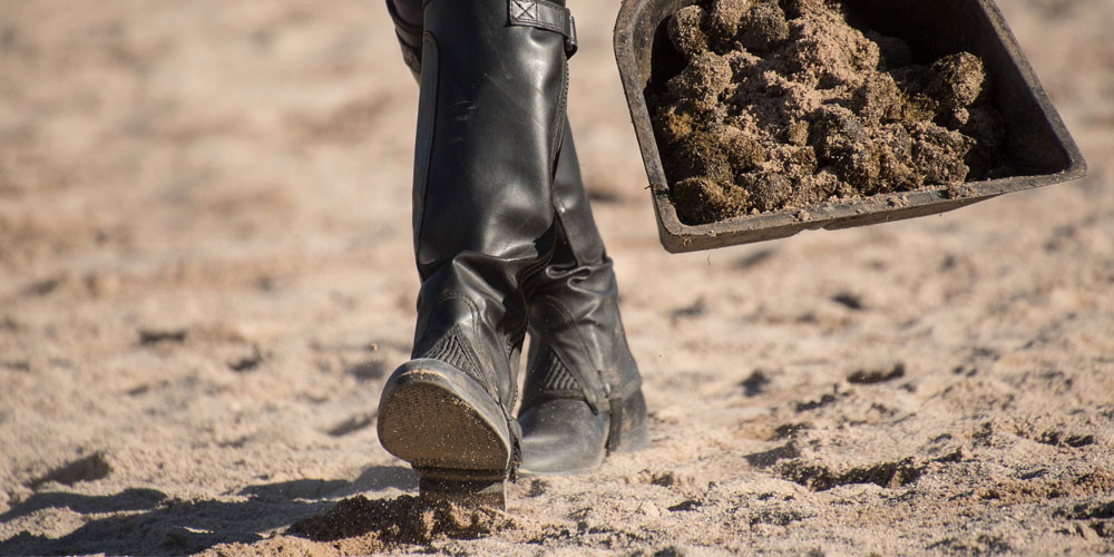 Riding boots
