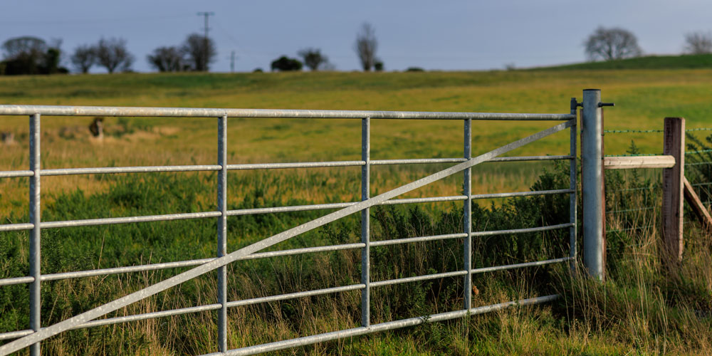 Galvanised Gate