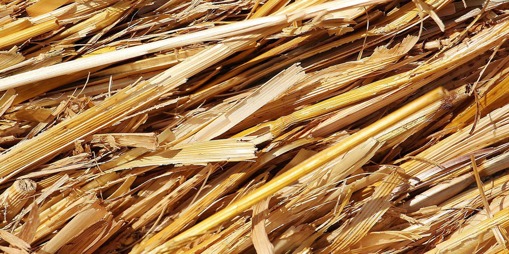 Straw Bedding