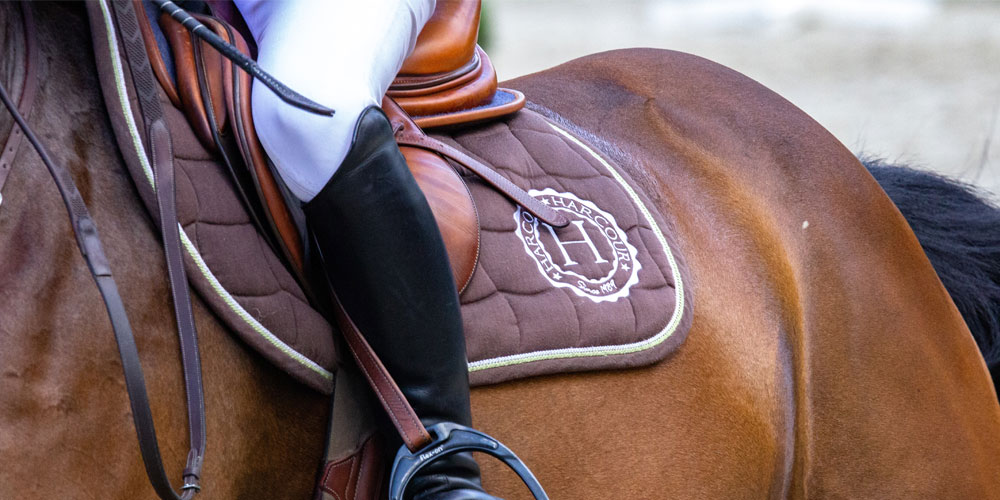 Horse rug and saddle