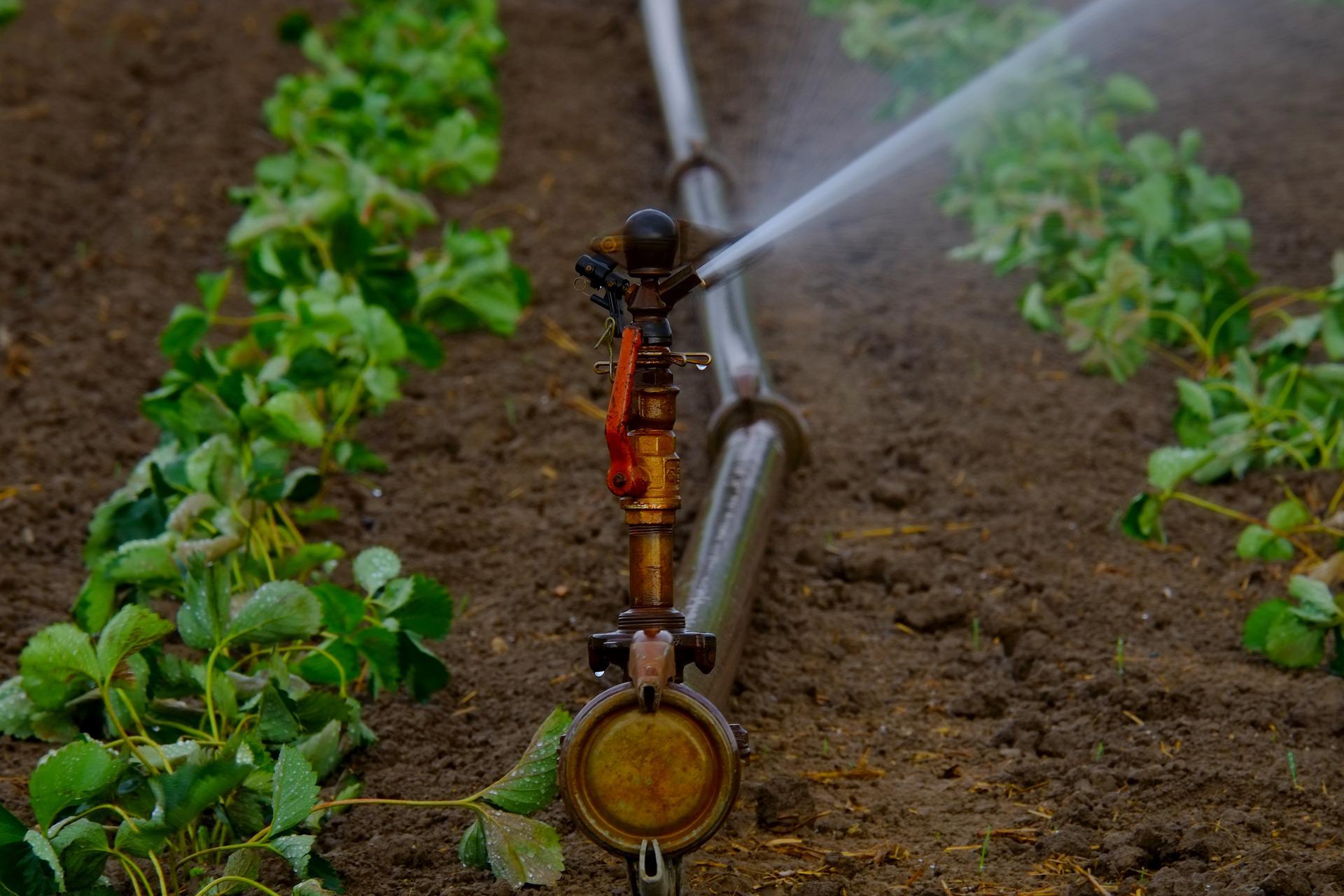 Farming Irrigation