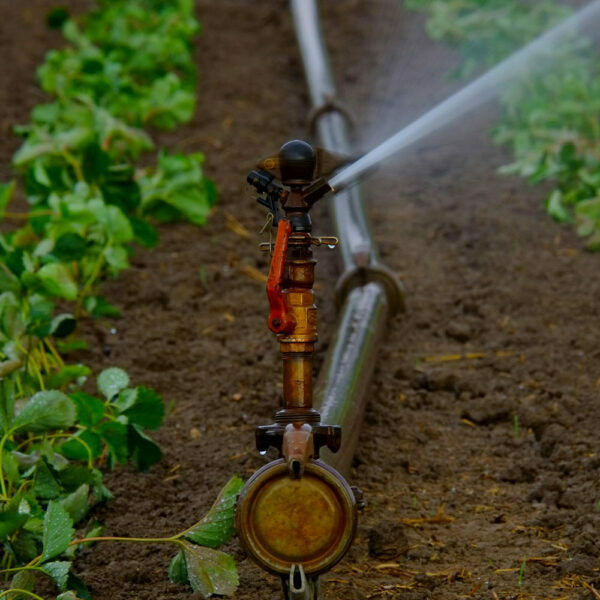 Farming Irrigation
