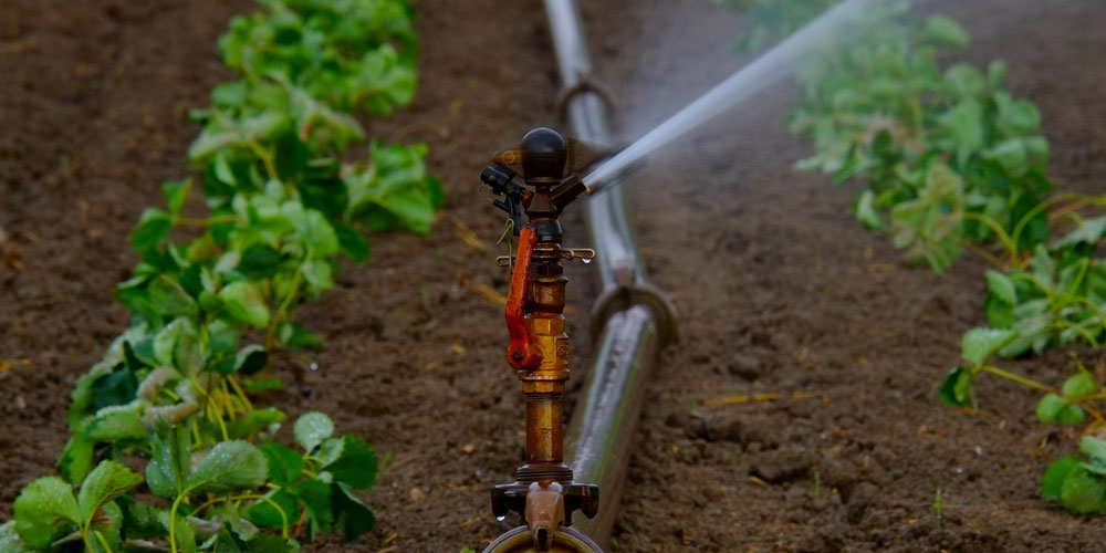 Irrigation