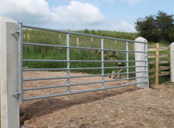 IAE Ashbourne Plus Galvanised Field Metal Gate 3ft - 16ft | Torne Valley