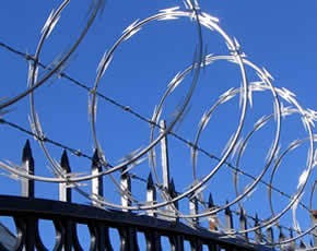 Razor Wire Concertina 10m | Torne Valley