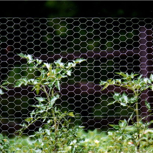 Rabbit Netting 1051 x 31 x 19g 50m | Torne Valley