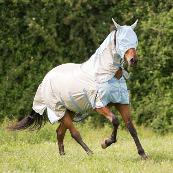 GALLOP All In One Fly Rug with Fly Mask | Torne Valley