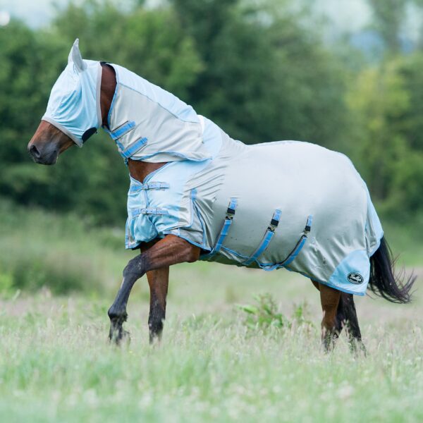 GALLOP All In One Fly Rug with Fly Mask | Torne Valley