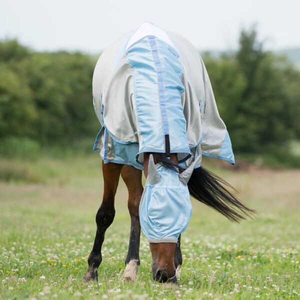 GALLOP All In One Fly Rug with Fly Mask | Torne Valley