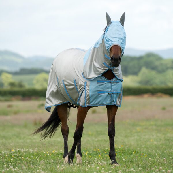 GALLOP All In One Fly Rug with Fly Mask | Torne Valley