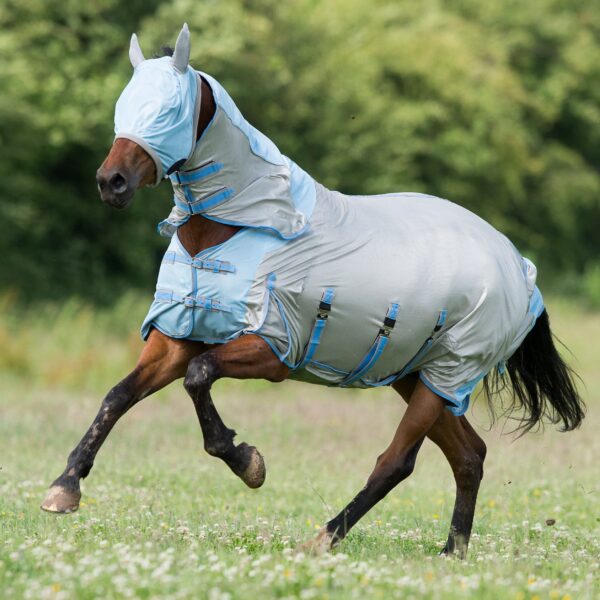 GALLOP All In One Fly Rug with Fly Mask | Torne Valley