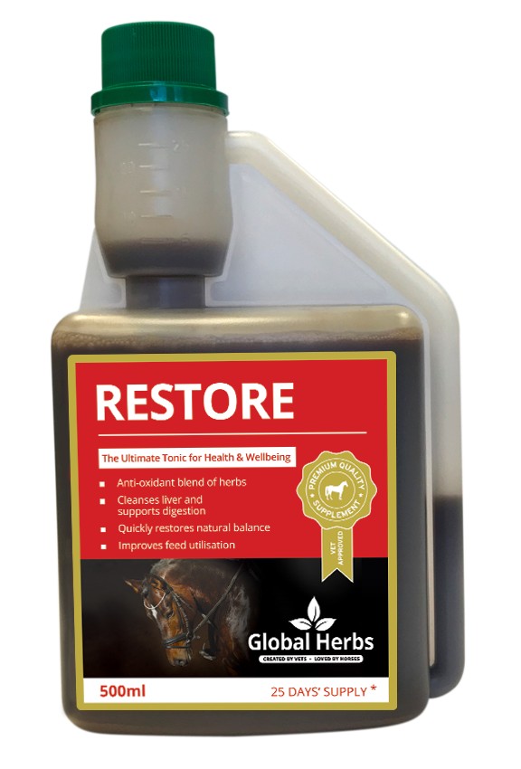 Global Herbs Restore Liquid 500ml | Torne Valley