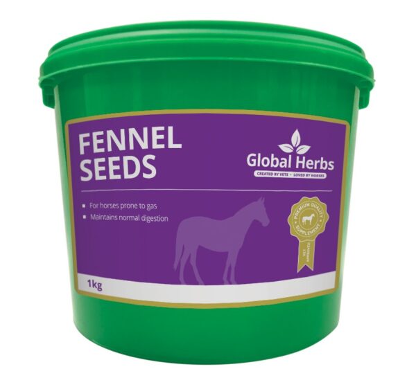 Global Herbs Fennel Seeds 1KG | Torne Valley