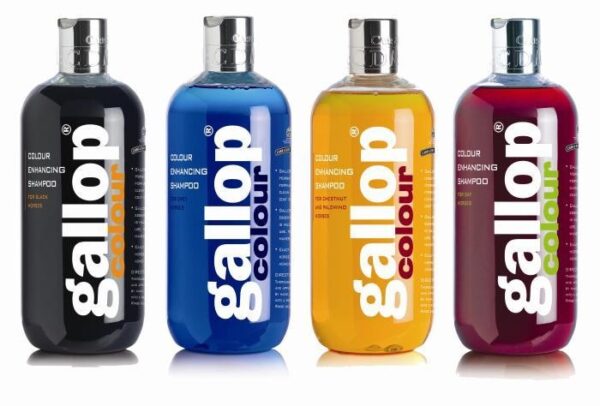Gallop Colour Enhancing Shampoo 500ml | Torne Valley