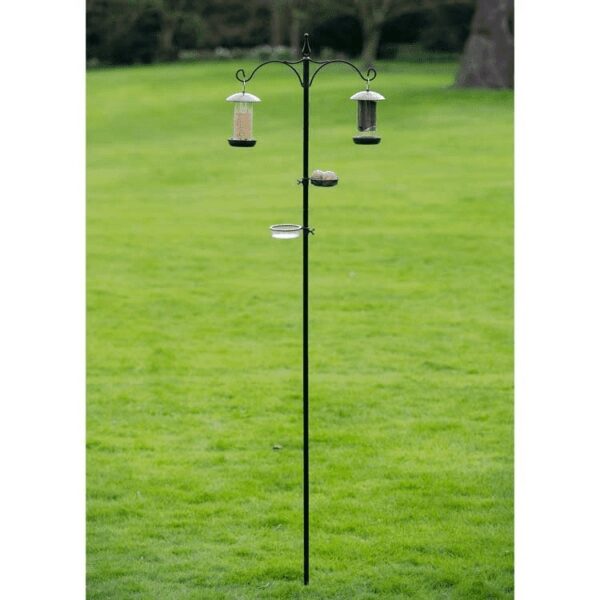 Tom Chambers Everyday Bird Feeding Station - Image 3