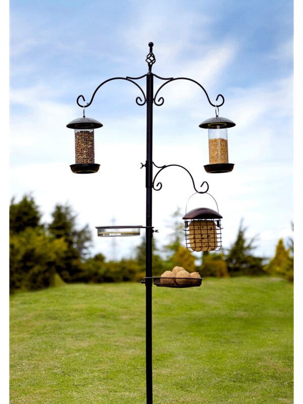 Tom Chambers Classic Bird Feeding Station | Torne Valley