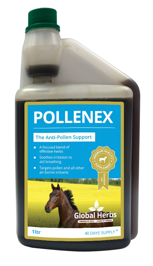 Global Herbs Pollenex 1L | Torne Valley