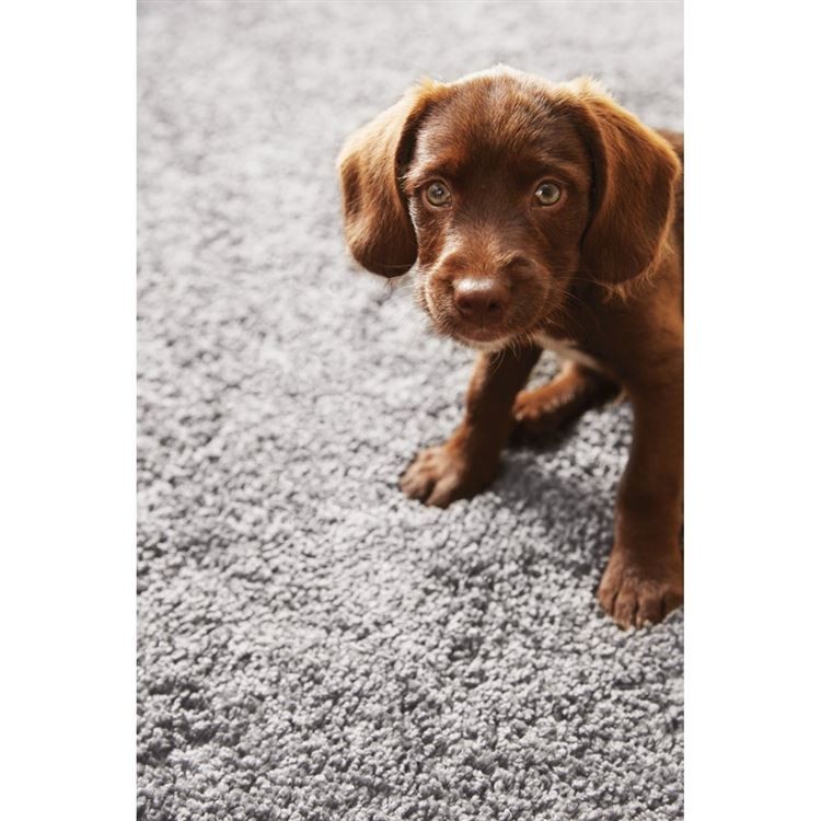 Hug Rug My Rug Ghost Grey 80cm x 120cm Torne Valley