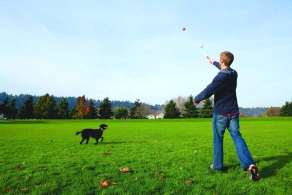 Chuckit! Pocket Ball Launcher, Medium | Torne Valley