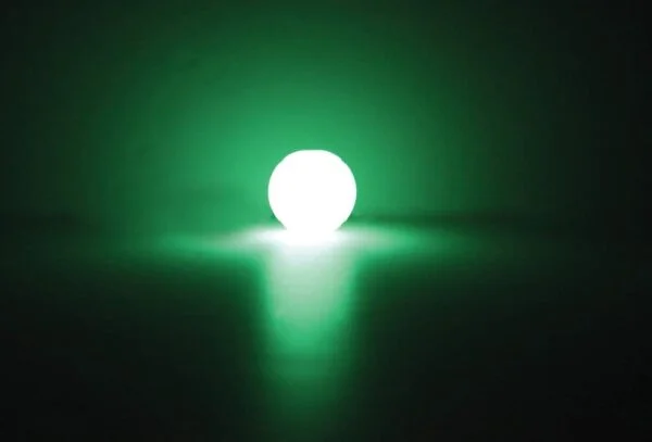 Chuckit! Glowball in Large - Image 3