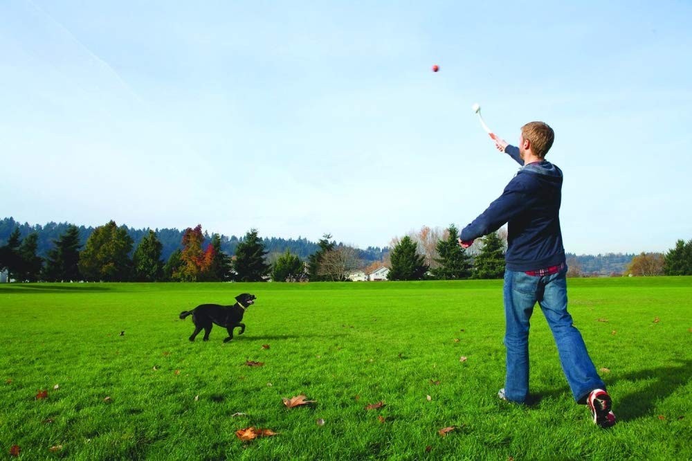 Child throwing a ball