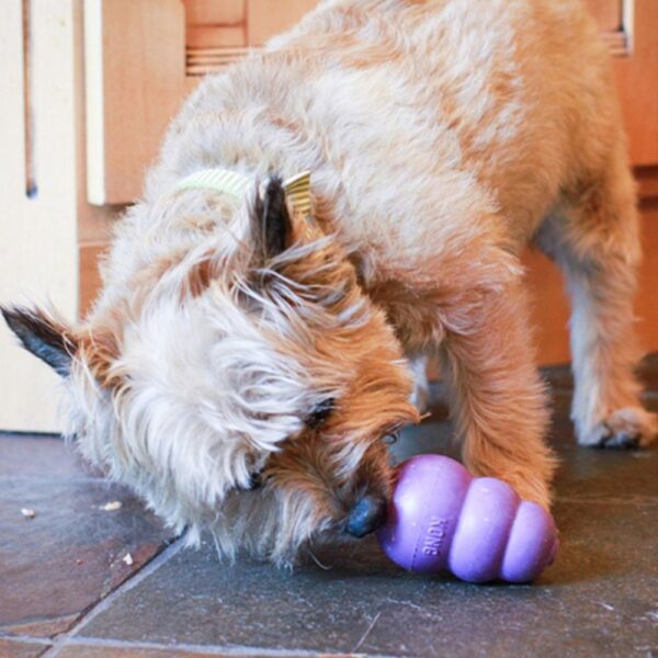 Kong Senior Dog Toy | Torne Valley