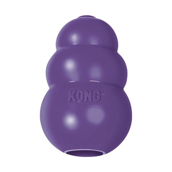 Kong Senior Dog Toy | Torne Valley