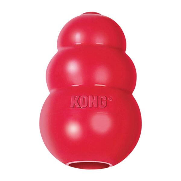 Kong Classic Dog Toy | Torne Valley