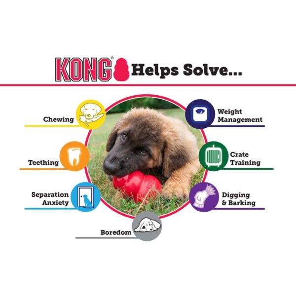 Kong Puppy Dog Toy | Torne Valley