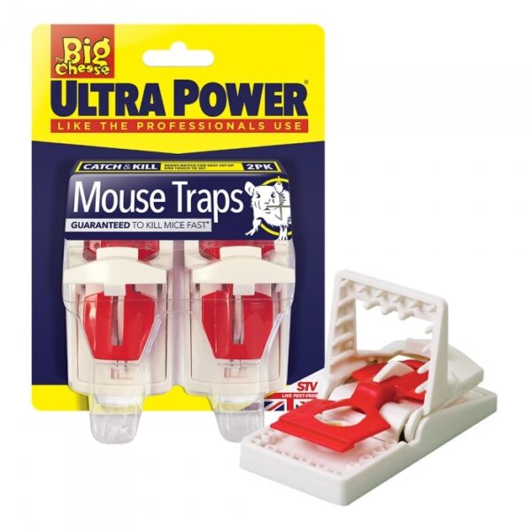 The Big Cheese Ultra Power Traps - 2 Pack | Torne Valley