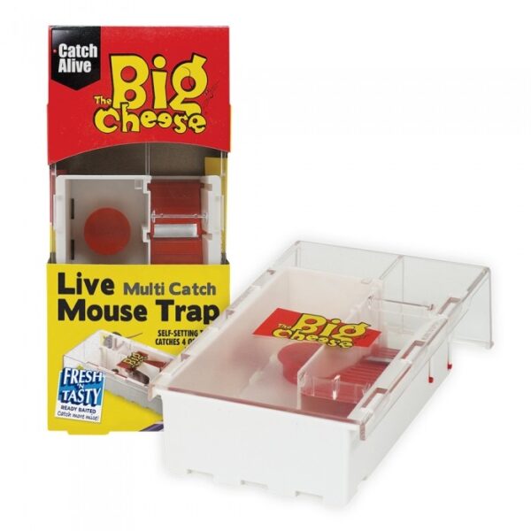 The Big Cheese Live Multi-Catch Mouse Trap | Torne Valley