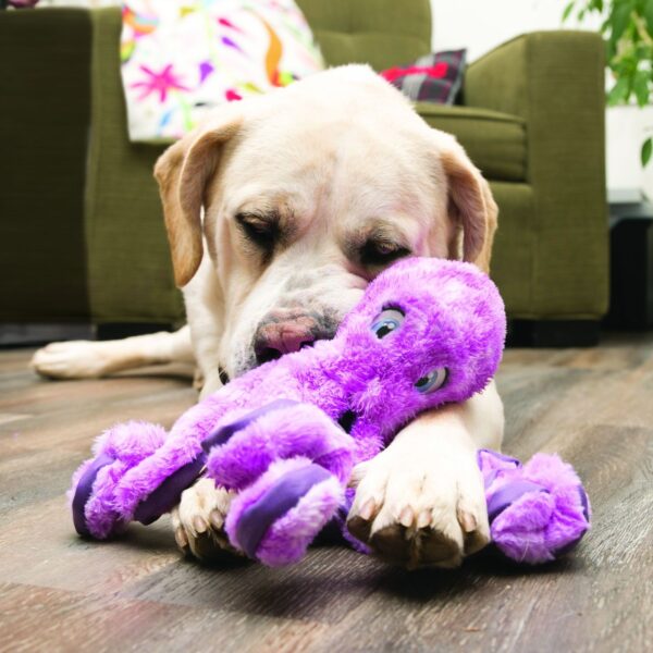 Kong Softseas Octopus Dog Toy | Torne Valley