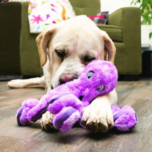 Kong Softseas Octopus Dog Toy - Image 4