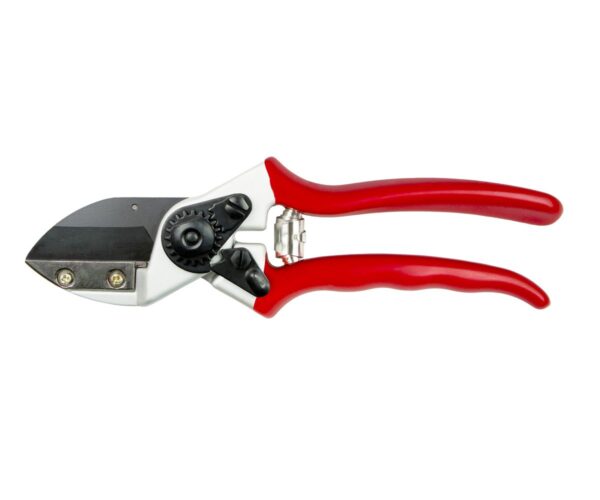 Darlac Expert Anvil Pruner DP1035 | Torne Valley