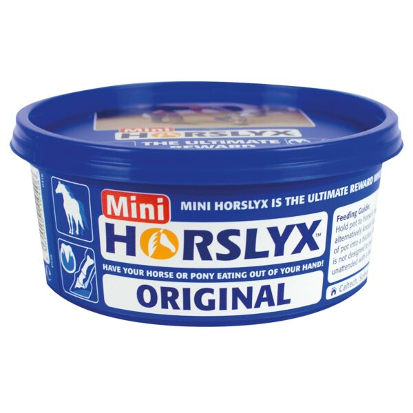 HORSLYX Mini Original Balancer Lick | Torne Valley