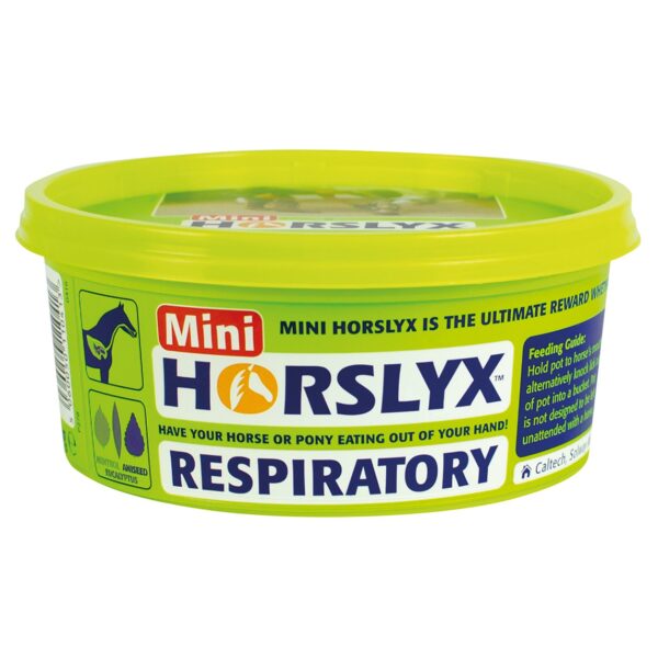 HORSLYX Mini Respiratory Balancer Lick | Torne Valley
